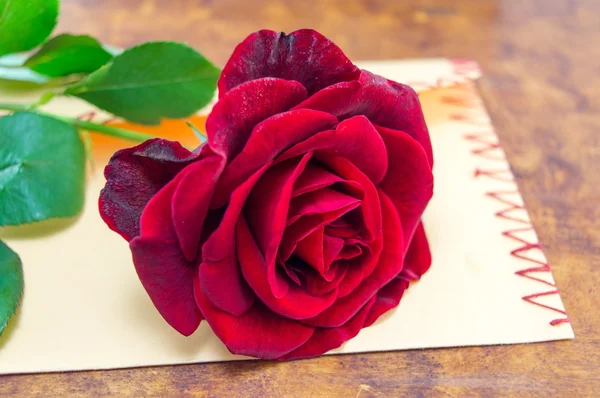 Egy romantikus borítékon piros rózsa — Stock Fotó