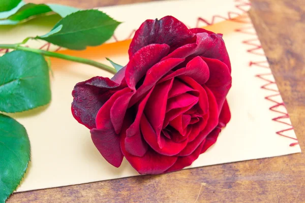 Egy romantikus borítékon piros rózsa — Stock Fotó