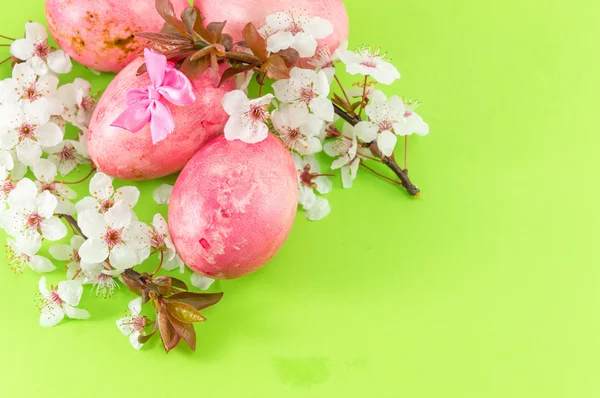 Huevos de Pascua y flores de flor de cerezo — Foto de Stock