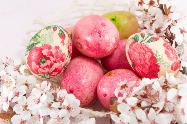 Velikonoční vajíčka a třešňový květ květiny — Stock fotografie