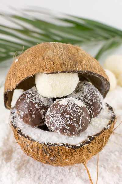 Cookies frais à la noix de coco et à la noix de coco — Photo