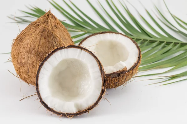 Половинчатые и свежие кокосы с листьями — стоковое фото