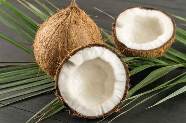 Noix de coco fraîches et feuilles de noix de coco — Photo