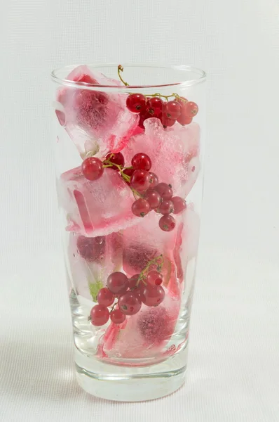 Berry fruit with ice cubes — Stock Photo, Image