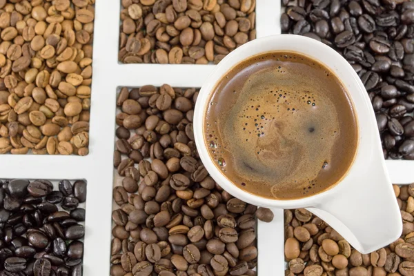Різні види зерна кави — стокове фото