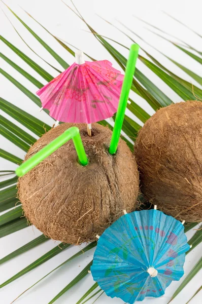 Cóctel de coco fresco para el verano — Foto de Stock