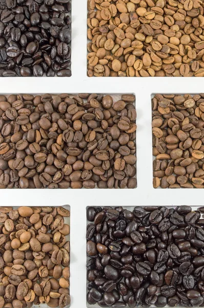 Los diferentes tipos de granos de café — Foto de Stock
