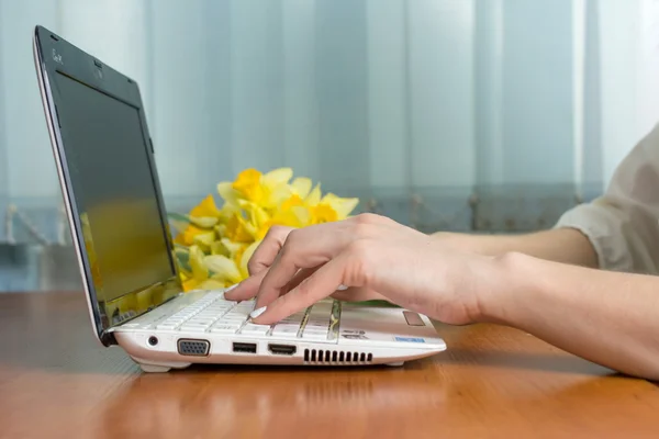 Female hands typing at a lap top — Stock Photo, Image