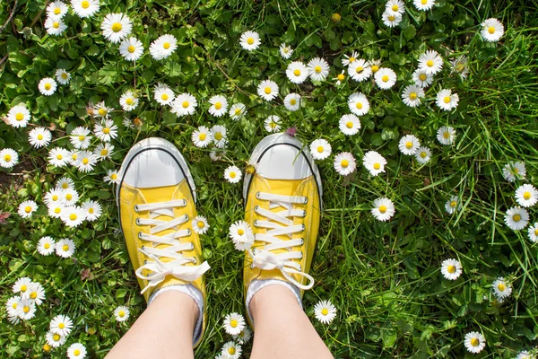 Жовті кросівки прикрашені ромашками — стокове фото