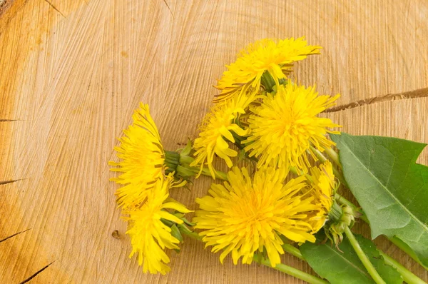 Yellow dandelions on wooden background — Stock Photo, Image
