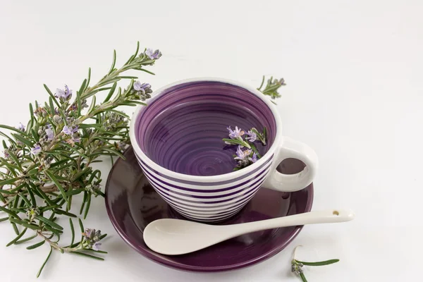 Tè al rosmarino con fiori di rosmarino freschi — Foto Stock