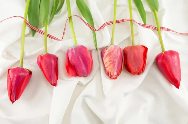 Tulipanes rojos sobre un tejido sedoso — Foto de Stock