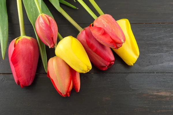 Tulipanes rojos y amarillos — Foto de Stock