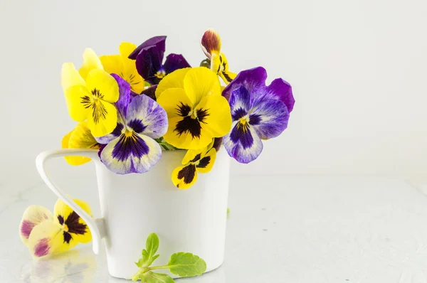Flores amarelas e violetas em um vaso — Fotografia de Stock