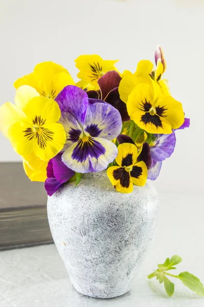 Flores amarelas e violetas em um vaso — Fotografia de Stock