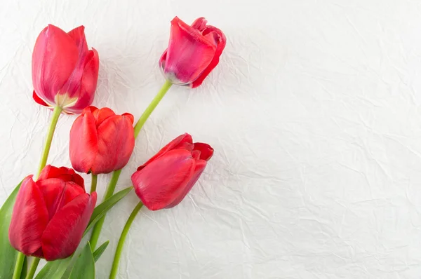 Vörös tulipán a egy fából készült asztal — Stock Fotó