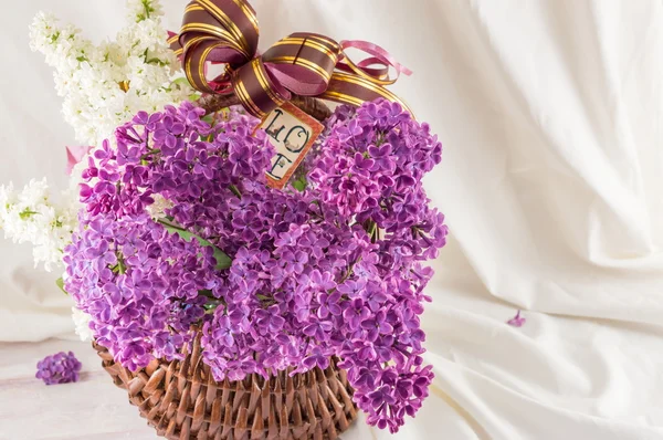 Flores lilás roxas sobre tecido branco — Fotografia de Stock