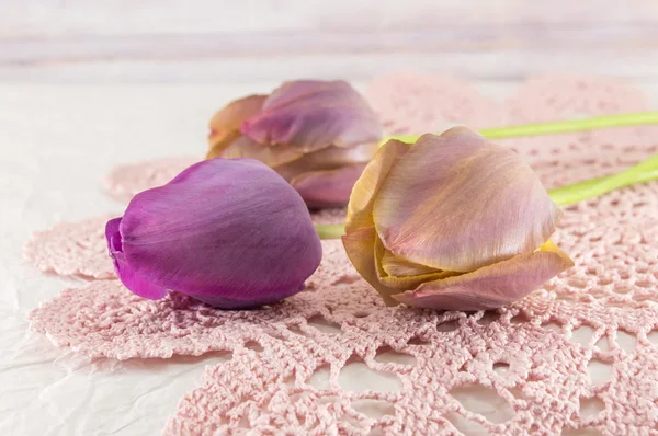 Textil pink lila tulipán — Stock Fotó