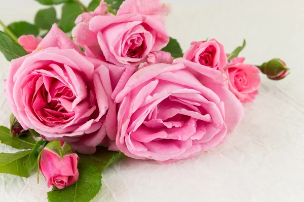 Rosas cor-de-rosa sobre têxteis de seda branca — Fotografia de Stock