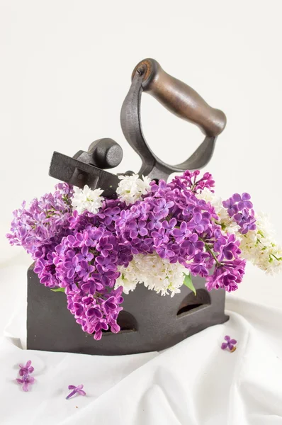 Vintage bir demir mor Eflatun çiçekler — Stok fotoğraf