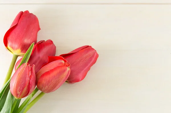 Tulipanes rojos sobre tabla de madera blanca — Foto de Stock