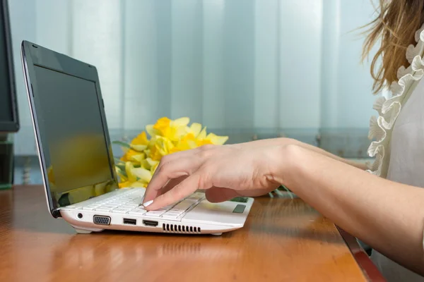 Female hands typing at a lap top — Stock Photo, Image