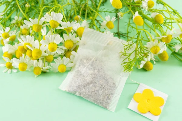 Chamomile flowers and a chamomile tea bag — Stock Photo, Image