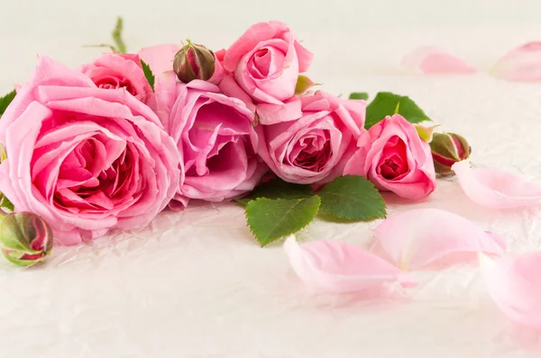 Rózsaszín rózsák, fehér selyem textil — Stock Fotó