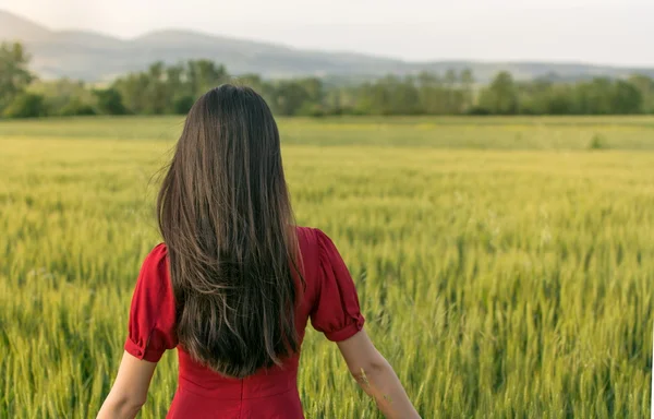 Chica en un campo de trigo vistiendo vestido rojo —  Fotos de Stock