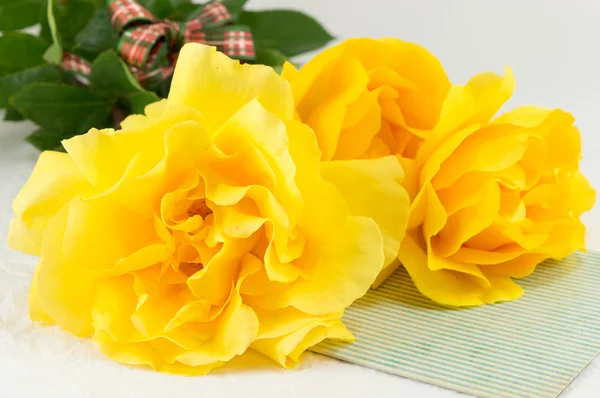 Rosas amarelas em flor cheia em uma mesa — Fotografia de Stock