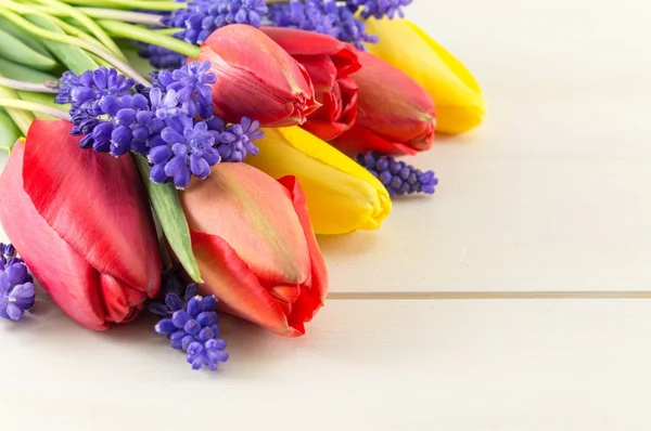Piros és sárga tulipán, Jácint virág — Stock Fotó