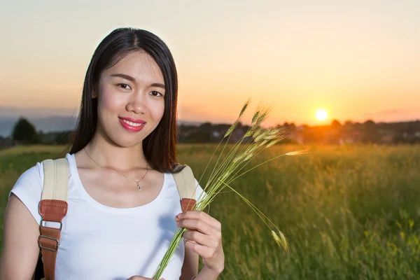 Девушка в пшеничном поле на закате — стоковое фото