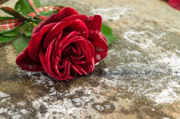 Rose vörös szalaggal a kőasztal — Stock Fotó