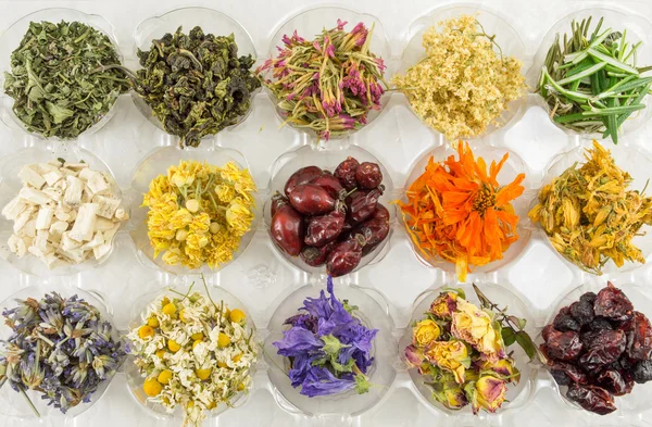 Различные сушеные растения для приготовления идеального чая — стоковое фото