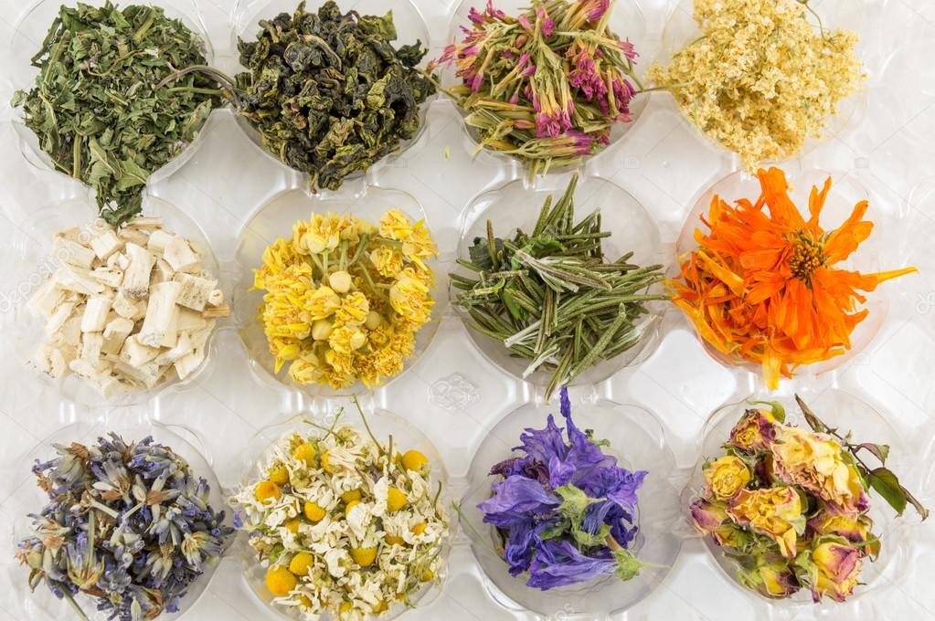 Various dried plants for making perfect tea Stock Photo by