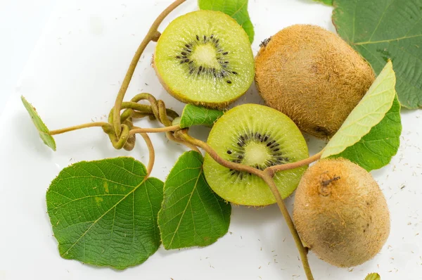 Baru dipetik kiwi dengan cabang dan daun — Stok Foto