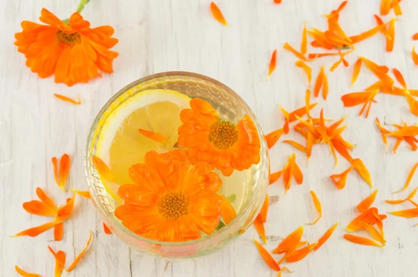 Marigold flower herbal tea with lemon slices — Stock Photo, Image