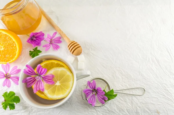 Malva sylvestris, mallow, herbata z cytryną i kwiaty — Zdjęcie stockowe