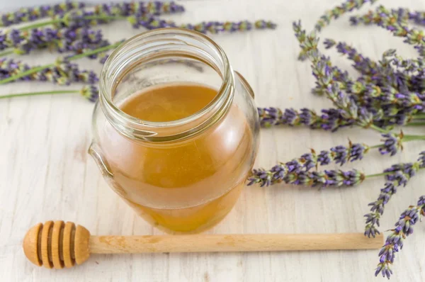 Lavender flowers and jar of honey — Stock Photo, Image