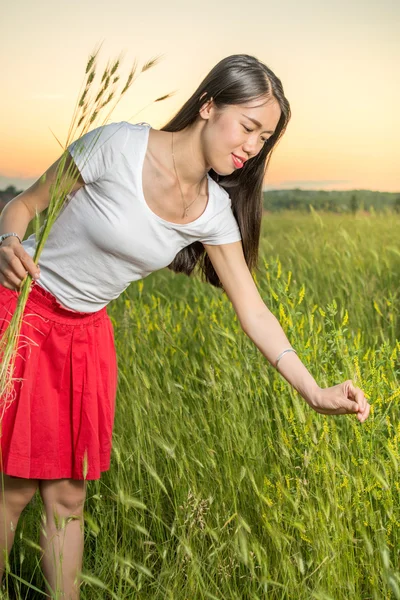 Niña en un campo de trigo al atardecer —  Fotos de Stock