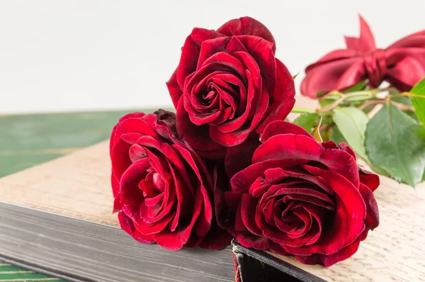 Piros rózsák, a nyitott könyv — Stock Fotó