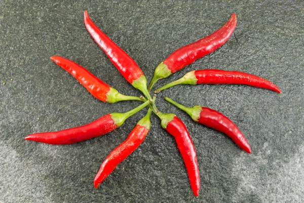 Peperoni rossi caldi su sfondo pietra — Foto Stock