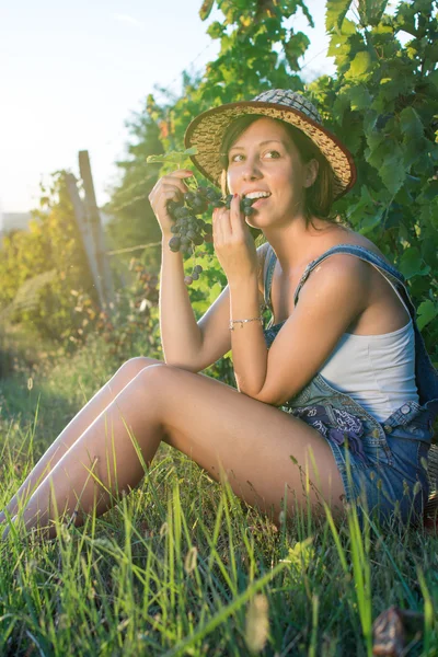 Mujer feliz comiendo uvas en el viñedo —  Fotos de Stock