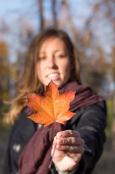 Szczęśliwa kobieta gospodarstwa jesień liść w parku — Zdjęcie stockowe