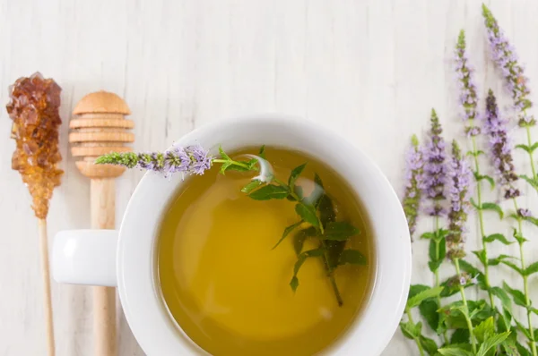 Té de menta con hierbas en una taza de té — Foto de Stock