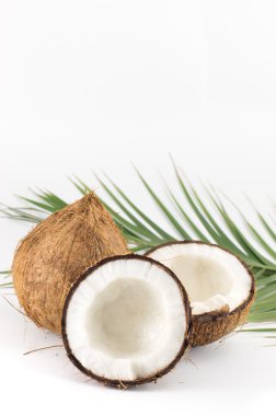 Open and whole coconuts and palm leaves clipart