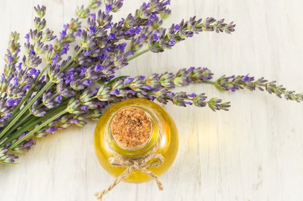 Olio di lavanda con rami di fiori freschi — Foto Stock