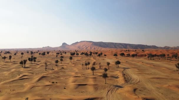 Scenic Fossil Rock Sharjah Desert United Arab Emirates Aerial Footage — Vídeo de stock