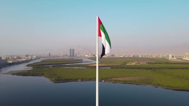 Vue Statique Ralenti Mât Drapeau National Des Émirats Arabes Unis — Video