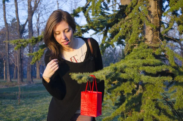 布鲁内特在一棵树上找到她的情人节礼物 — 图库照片